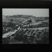 Böhl glass slide 62./2049